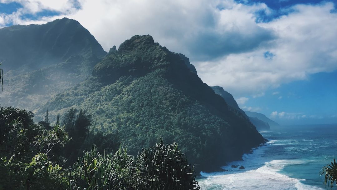 Places You’ll Love in Kapaʻa