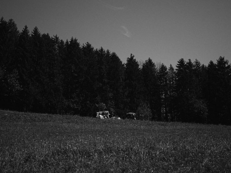 Seefeld, Austria