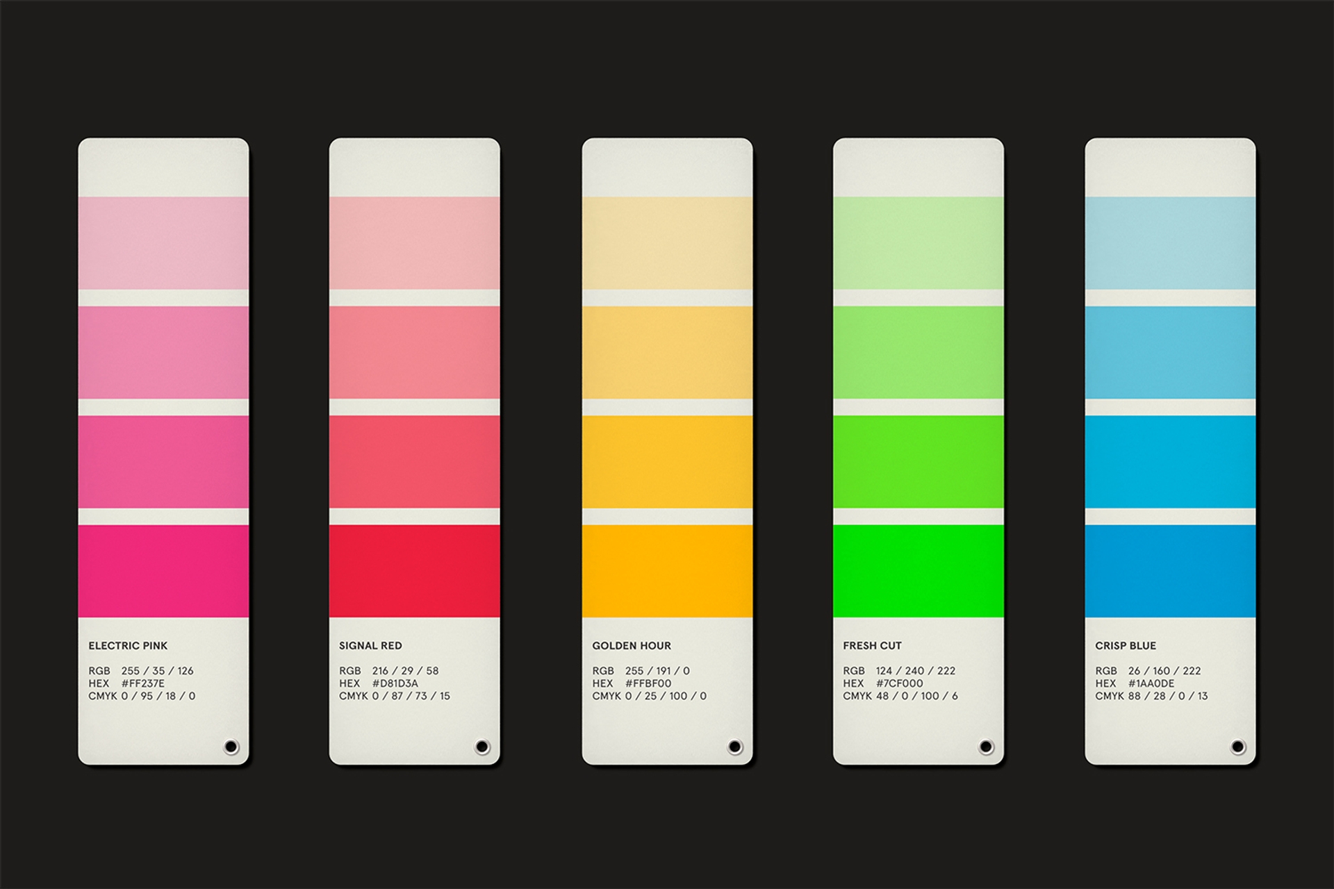 Project Color Palette using paint samples on a dark background