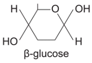 Molecular Structure Of Beta Glucose