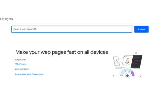 Google PageSpeed Insights showing website speed and technical performance analysis