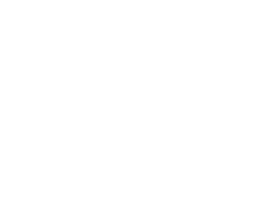 Brand logos from the Brenton Way presentation