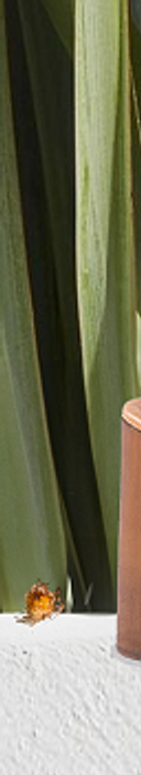 Creative detail​​​​‌﻿‍﻿​‍​‍‌‍﻿﻿‌﻿​‍‌‍‍‌‌‍‌﻿‌‍‍‌‌‍﻿‍​‍​‍​﻿‍‍​‍​‍‌﻿​﻿‌‍​‌‌‍﻿‍‌‍‍‌‌﻿‌​‌﻿‍‌​‍﻿‍‌‍‍‌‌‍﻿﻿​‍​‍​‍﻿​​‍​‍‌‍‍​‌﻿​‍‌‍‌‌‌‍‌‍​‍​‍​﻿‍‍​‍​‍​‍﻿﻿‌‍​‌‌‍‌​‌‍﻿‌‌‍‍‌‌‍﻿‍​‍﻿﻿‌‍‍‌‌‍﻿‍‌﻿‌​‌‍‌‌‌‍﻿‍‌﻿‌​​‍﻿﻿‌‍‌‌‌‍‌​‌‍‍‌‌﻿‌​​‍﻿﻿‌‍﻿‌‌‍﻿﻿‌‍‌​‌‍‌‌​﻿﻿‌‌﻿​​‌﻿​‍‌‍‌‌‌﻿​﻿‌‍‌‌‌‍﻿‍‌﻿‌​‌‍​‌‌﻿‌​‌‍‍‌‌‍﻿﻿‌‍﻿‍​﻿‍﻿‌‍‍‌‌‍‌​​﻿﻿‌‌‍​‌​﻿​​‌‍‌‍‌‍​﻿​﻿​‍​﻿​‌​﻿​‍​﻿‌‌​‍﻿‌‌‍​‍​﻿​﻿‌‍​﻿​﻿‌​​‍﻿‌​﻿‌​​﻿‌‍​﻿‍​‌‍​﻿​‍﻿‌‌‍​‌​﻿​‌​﻿‍​‌‍‌​​‍﻿‌​﻿​﻿​﻿‌‍‌‍‌‍​﻿​​‌‍​‌‌‍​‌‌‍​‍​﻿​​​﻿‍​​﻿​​​﻿​‍​﻿​‍​﻿‍﻿‌﻿‌​‌﻿‍‌‌﻿​​‌‍‌‌​﻿﻿‌‌﻿​﻿‌‍‌‌‌﻿​‍‌﻿‌‍‌‍‍‌‌‍​﻿‌‍‌‌​﻿‍﻿‌﻿​​‌‍​‌‌﻿‌​‌‍‍​​﻿﻿‌‌﻿​﻿‌‍‌‌‌‍​﻿‌﻿‌​‌‍‍‌‌‍﻿﻿‌‍﻿‍‌﻿​﻿​‍‌‌​﻿‌‌‌​​‍‌‌﻿﻿‌‍‍﻿‌‍‌‌‌﻿‍‌​‍‌‌​﻿​﻿‌​‌​​‍‌‌​﻿​﻿‌​‌​​‍‌‌​﻿​‍​﻿​‍​﻿‌‍​﻿‍​​﻿‌‌‌‍‌​​﻿​‍​﻿‌﻿​﻿​‌​﻿‍​‌‍‌‍‌‍‌​​﻿‌‌‌‍​﻿​‍‌‌​﻿​‍​﻿​‍​‍‌‌​﻿‌‌‌​‌​​‍﻿‍‌﻿​​‌‍﻿﻿‌﻿​‍‌﻿‌​‌‍‌‍‌‍﻿﻿‌‍﻿​‌‍‍‌‌‍﻿﻿‌​‍‌‌‍﻿‌‌‍​‌‌‍‌﻿‌‍‌‌‌﻿​﻿​‍‌‌​﻿‌‌‌​​‍‌‌﻿﻿‌‍‍﻿‌‍‌‌‌﻿‍‌​‍‌‌​﻿​﻿‌​‌​​‍‌‌​﻿​﻿‌​‌​​‍‌‌​﻿​‍​﻿​‍‌‍​﻿​﻿‌​‌‍​﻿​﻿​‍‌‍‌​​﻿‌‍‌‍​‍‌‍​‍‌‍‌‌‌‍​﻿‌‍​﻿​﻿‌‌​‍‌‌​﻿​‍​﻿​‍​‍‌‌​﻿‌‌‌​‌​​‍﻿‍‌‍​‌‌‍﻿​‌﻿‌​​﻿﻿﻿‌‍​‍‌‍​‌‌﻿​﻿‌‍‌‌‌‌‌‌‌﻿​‍‌‍﻿​​﻿﻿‌​‍‌‌​﻿​‍‌​‌‍‌‍​‌‌‍‌​‌‍﻿‌‌‍‍‌‌‍﻿‍​‍‌‍‌‍‍‌‌‍‌​​﻿﻿‌‌‍​‌​﻿​​‌‍‌‍‌‍​﻿​﻿​‍​﻿​‌​﻿​‍​﻿‌‌​‍﻿‌‌‍​‍​﻿​﻿‌‍​﻿​﻿‌​​‍﻿‌​﻿‌​​﻿‌‍​﻿‍​‌‍​﻿​‍﻿‌‌‍​‌​﻿​‌​﻿‍​‌‍‌​​‍﻿‌​﻿​﻿​﻿‌‍‌‍‌‍​﻿​​‌‍​‌‌‍​‌‌‍​‍​﻿​​​﻿‍​​﻿​​​﻿​‍​﻿​‍​‍‌‍‌﻿‌​‌﻿‍‌‌﻿​​‌‍‌‌​﻿﻿‌‌﻿​﻿‌‍‌‌‌﻿​‍‌﻿‌‍‌‍‍‌‌‍​﻿‌‍‌‌​‍‌‍‌﻿​​‌‍​‌‌﻿‌​‌‍‍​​﻿﻿‌‌﻿​﻿‌‍‌‌‌‍​﻿‌﻿‌​‌‍‍‌‌‍﻿﻿‌‍﻿‍‌﻿​﻿​‍‌‌​﻿‌‌‌​​‍‌‌﻿﻿‌‍‍﻿‌‍‌‌‌﻿‍‌​‍‌‌​﻿​﻿‌​‌​​‍‌‌​﻿​﻿‌​‌​​‍‌‌​﻿​‍​﻿​‍​﻿‌‍​﻿‍​​﻿‌‌‌‍‌​​﻿​‍​﻿‌﻿​﻿​‌​﻿‍​‌‍‌‍‌‍‌​​﻿‌‌‌‍​﻿​‍‌‌​﻿​‍​﻿​‍​‍‌‌​﻿‌‌‌​‌​​‍﻿‍‌﻿​​‌‍﻿﻿‌﻿​‍‌﻿‌​‌‍‌‍‌‍﻿﻿‌‍﻿​‌‍‍‌‌‍﻿﻿‌​‍‌‌‍﻿‌‌‍​‌‌‍‌﻿‌‍‌‌‌﻿​﻿​‍‌‌​﻿‌‌‌​​‍‌‌﻿﻿‌‍‍﻿‌‍‌‌‌﻿‍‌​‍‌‌​﻿​﻿‌​‌​​‍‌‌​﻿​﻿‌​‌​​‍‌‌​﻿​‍​﻿​‍‌‍​﻿​﻿‌​‌‍​﻿​﻿​‍‌‍‌​​﻿‌‍‌‍​‍‌‍​‍‌‍‌‌‌‍​﻿‌‍​﻿​﻿‌‌​‍‌‌​﻿​‍​﻿​‍​‍‌‌​﻿‌‌‌​‌​​‍﻿‍‌‍​‌‌‍﻿​‌﻿‌​​‍‌‍‌﻿​​‌‍‌‌‌﻿​‍‌﻿​﻿‌﻿​​‌‍‌‌‌‍​﻿‌﻿‌​‌‍‍‌‌﻿‌‍‌‍‌‌​﻿﻿‌‌﻿​​‌﻿‌‌‌‍​‍‌‍﻿​‌‍‍‌‌﻿​﻿‌‍‍​‌‍‌‌‌‍‌​​‍​‍‌﻿﻿‌