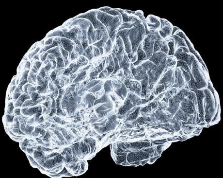 A wireframe rendering of a brain, representing the connected model Atlas builds for each brand.