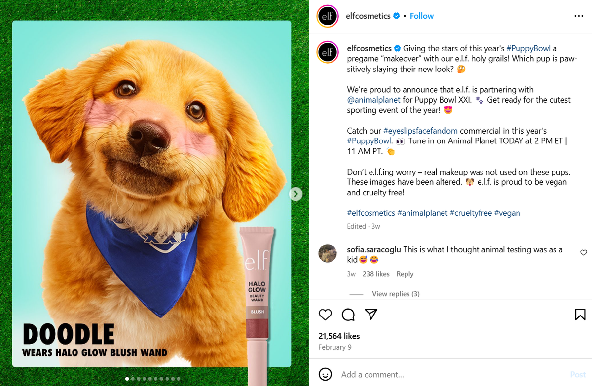 e.l.f. Cosmetics x The Puppy Bowl Super Bowl Campaign