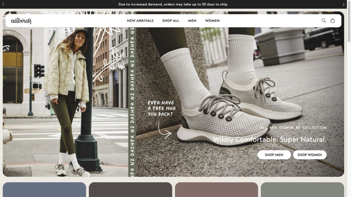 Website reference — Allbirds storefront