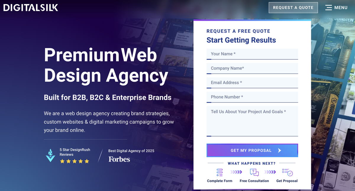 Digital Silk website presenting custom web design services.