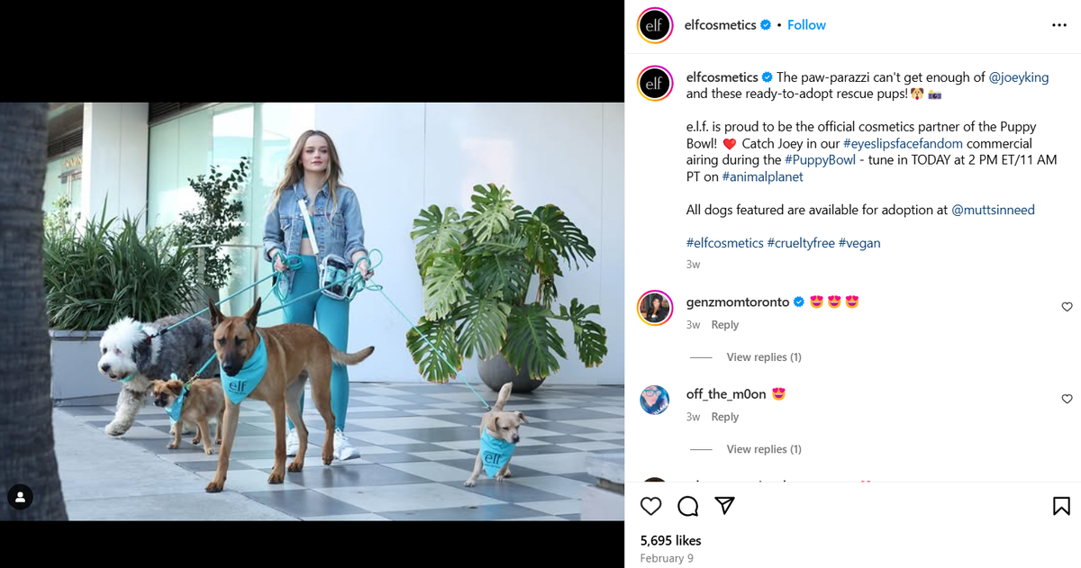 e.l.f. Cosmetics x The Puppy Bowl Super Bowl Campaign