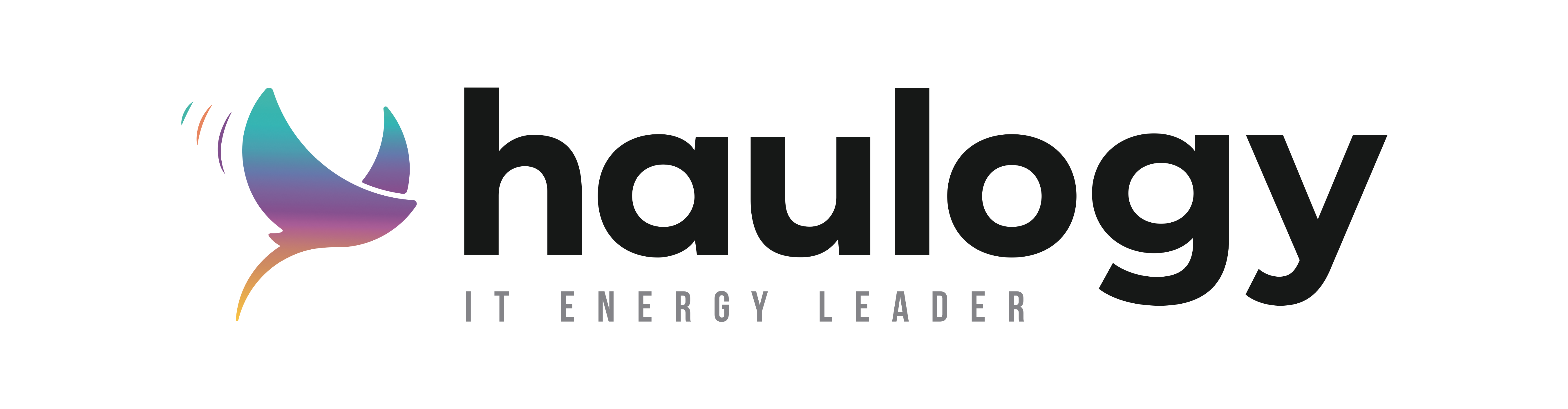 haulogy logo