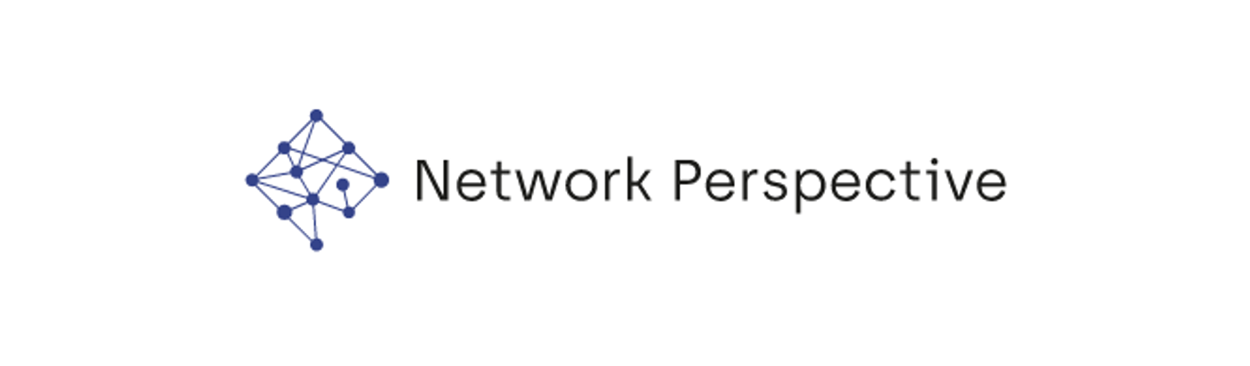 Network Perspective logo
