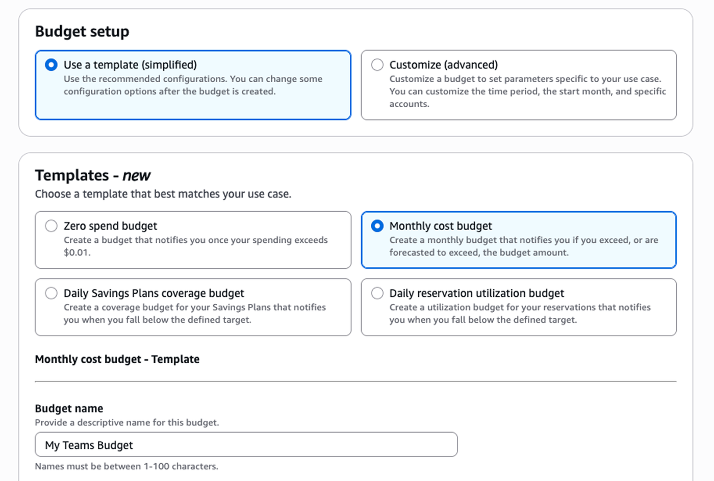 Image of choose budget type screen