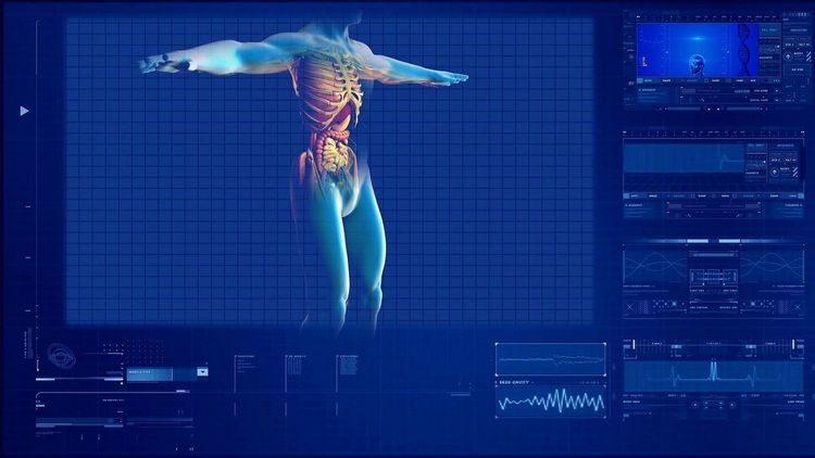 Radiografía del cuerpo humano