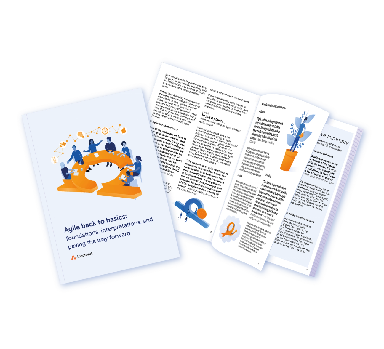 An image of the Agile back to basics report