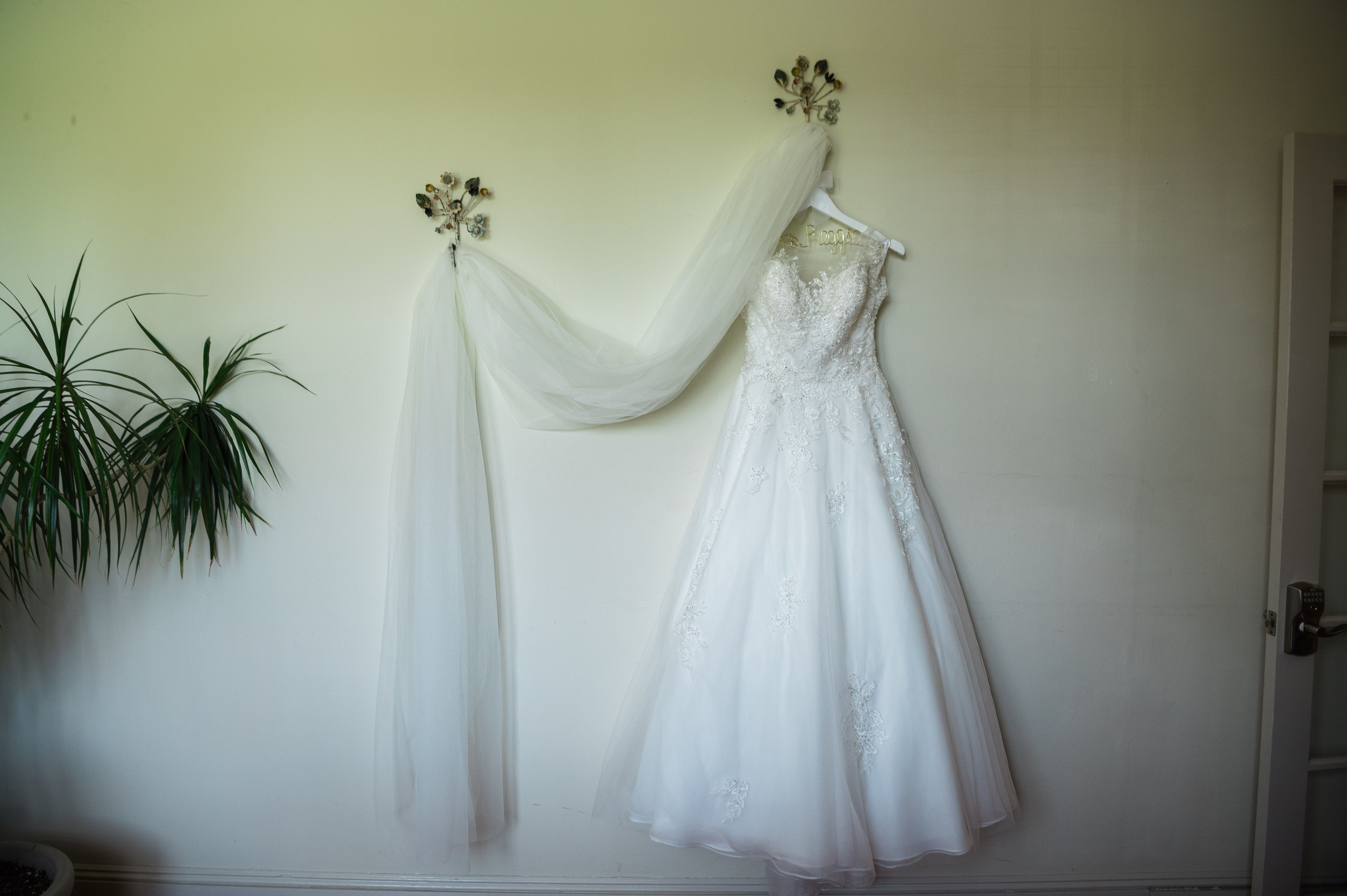 Bridal wedding dress with lace detailing from Aleana’s Bridal