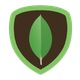 MongoDB logo