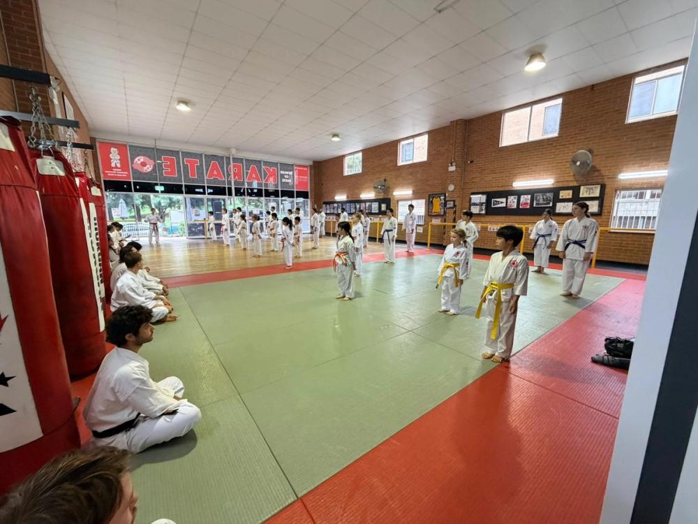 Large kids karate class lined up on mats practicing stance and discipline in a dojo