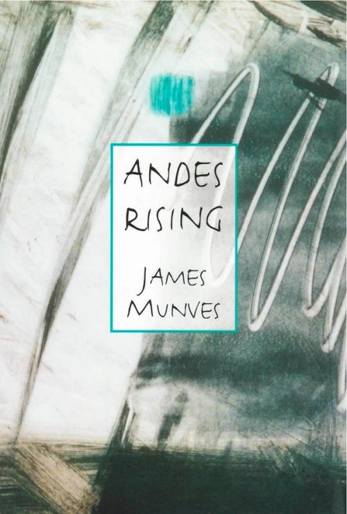 cover of the book Andes Rising