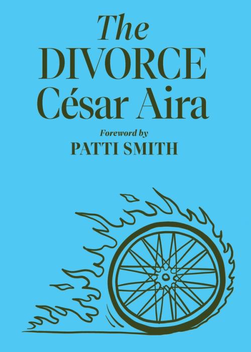cover image of the book The Divorce