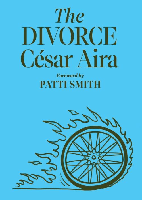 cover of the book The Divorce