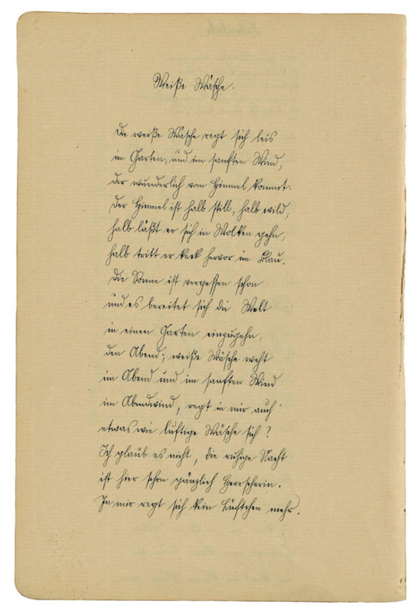 Image by New Direction