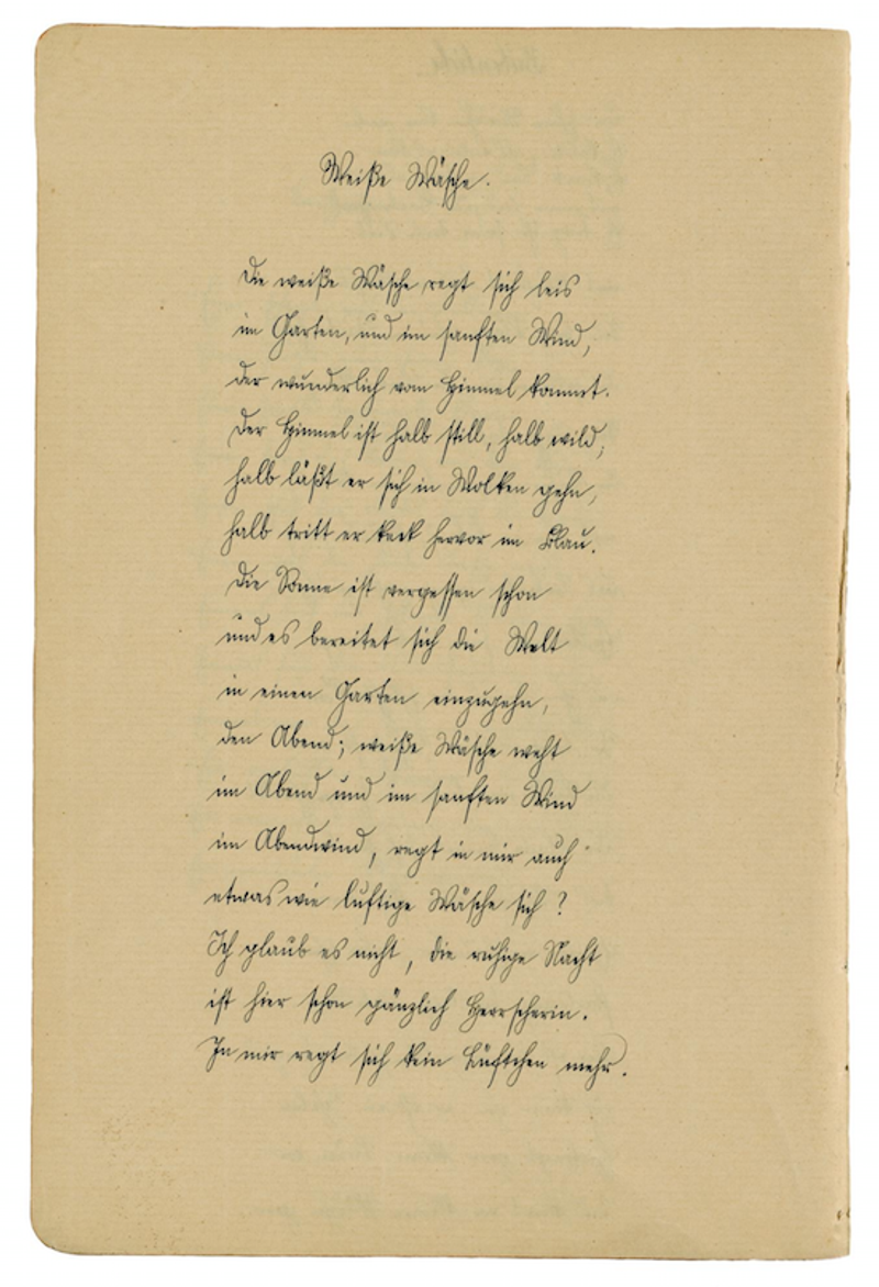 Image by New Direction