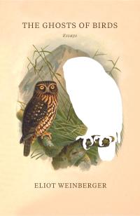 cover of the book The Ghosts of Birds