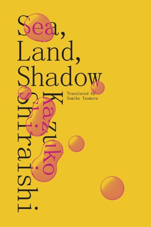 cover image of the book Sea, Land, Shadow