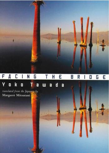 cover image of the book Facing the Bridge