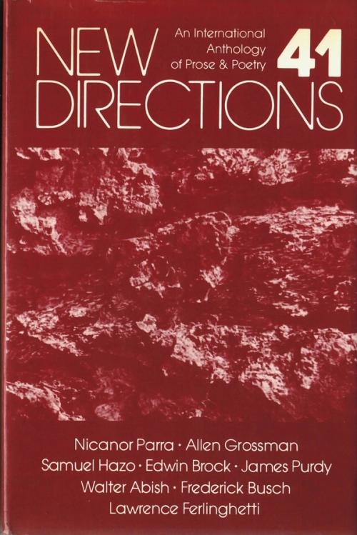 cover image of the book New Directions 41