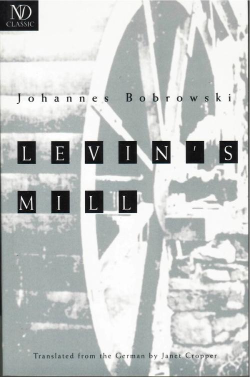 cover of the book Levin’s Mill