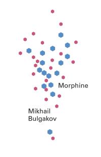 cover of the book Morphine