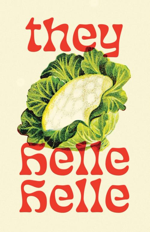 cover of the book they