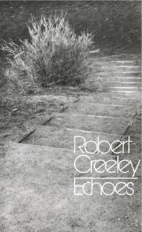 cover image of the book Echoes