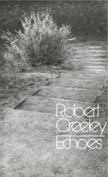 cover of the book Echoes