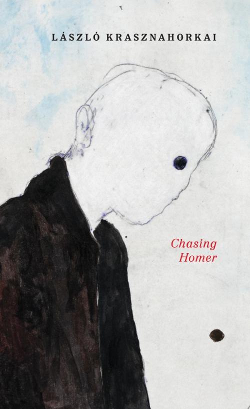 cover of the book Chasing Homer