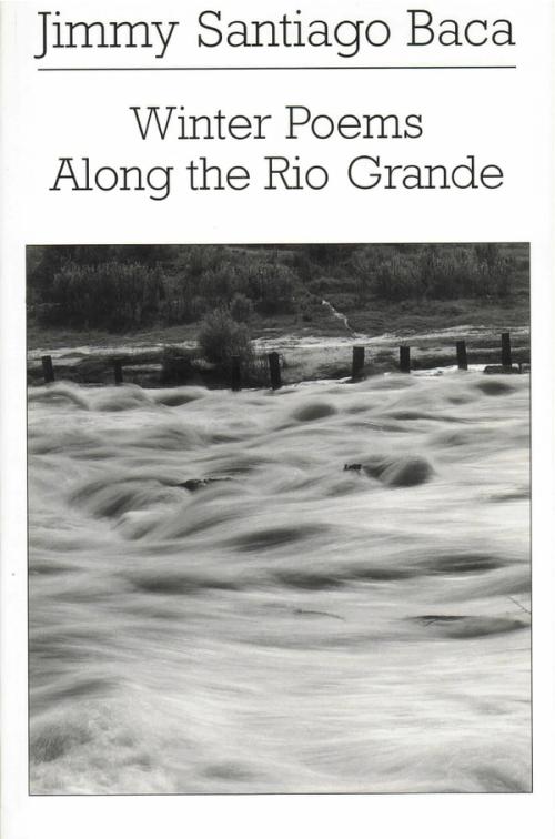 cover image of the book Winter Poems Along The Rio Grande