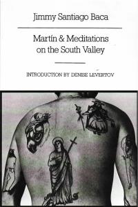 cover of the book Martin And Meditations On The South Valley