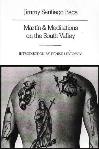 cover of the book Martin And Meditations On The South Valley