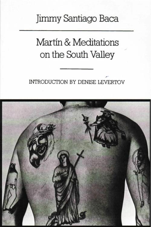 cover image of the book Martin And Meditations On The South Valley