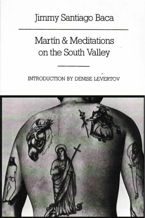 cover of the book Martin And Meditations On The South Valley