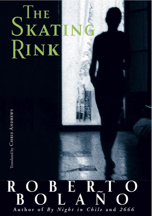 cover image of the book The Skating Rink