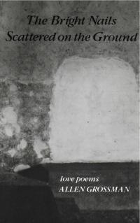 cover of the book The Bright Nails Scattered On The Ground