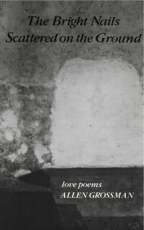 cover of the book The Bright Nails Scattered On The Ground