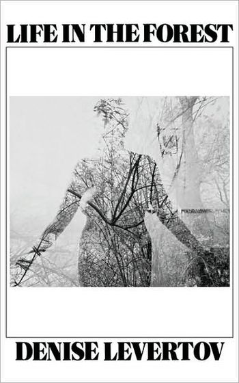cover of the book Life In The Forest