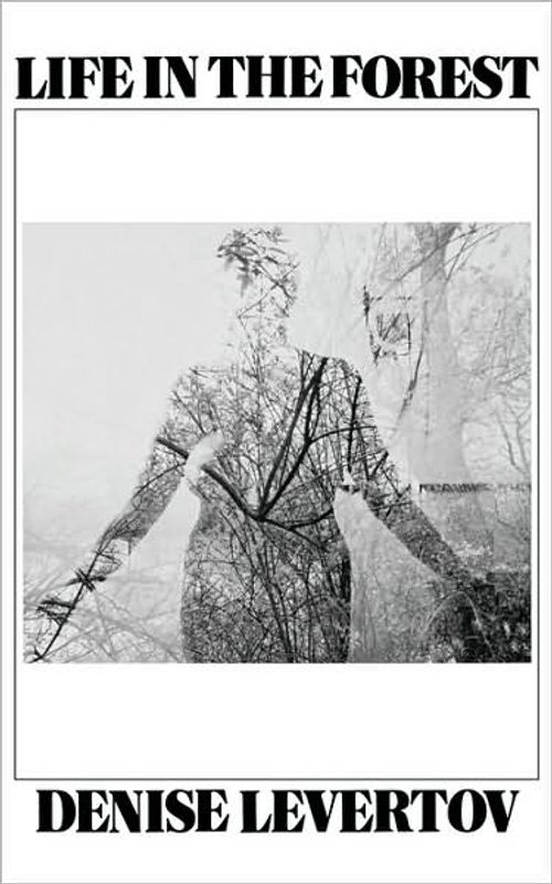 cover of the book Life In The Forest
