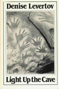 cover of the book Light Up the Cave