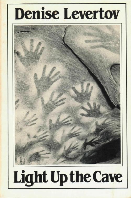 cover of the book Light Up the Cave