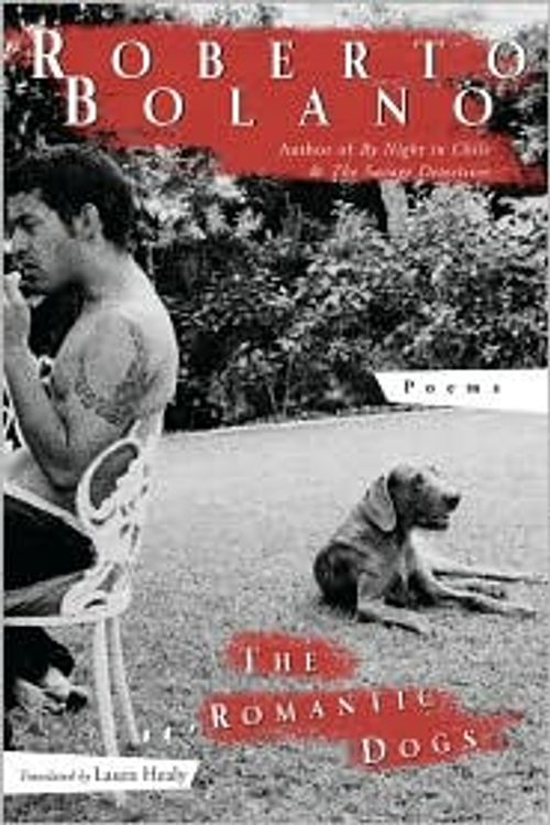 cover of the book Romantic Dogs