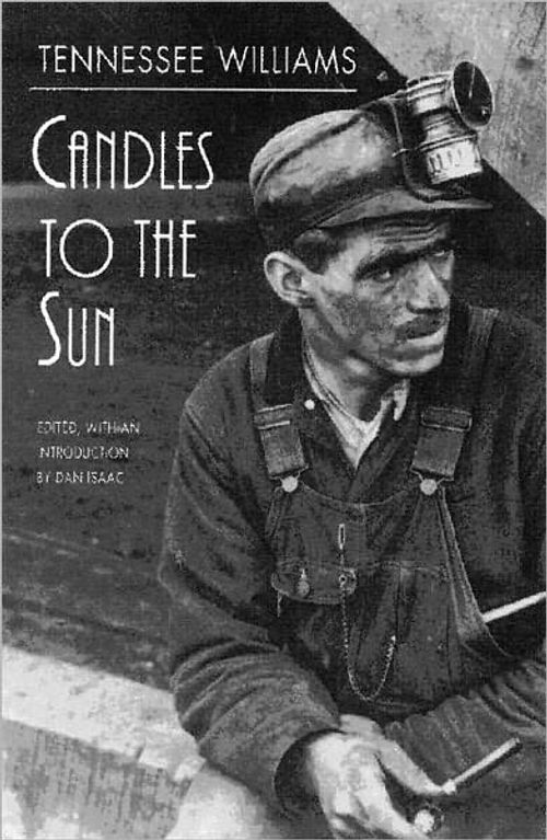 cover image of the book Candles To The Sun