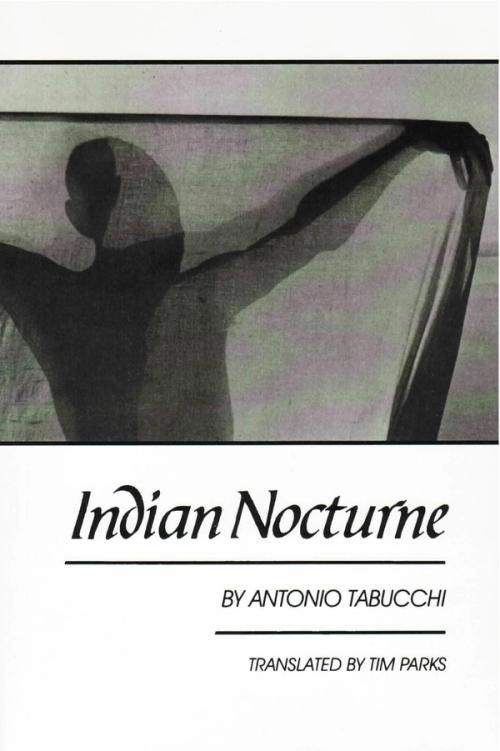 cover image of the book Indian Nocturne